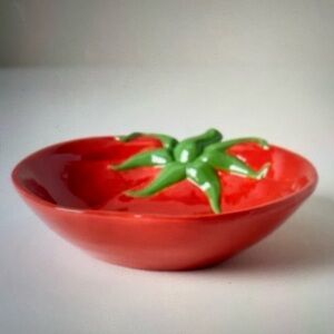 ❤️ ANTHROPOLOGIE DOLOMITE TOMATO PASTA BOWL NEW